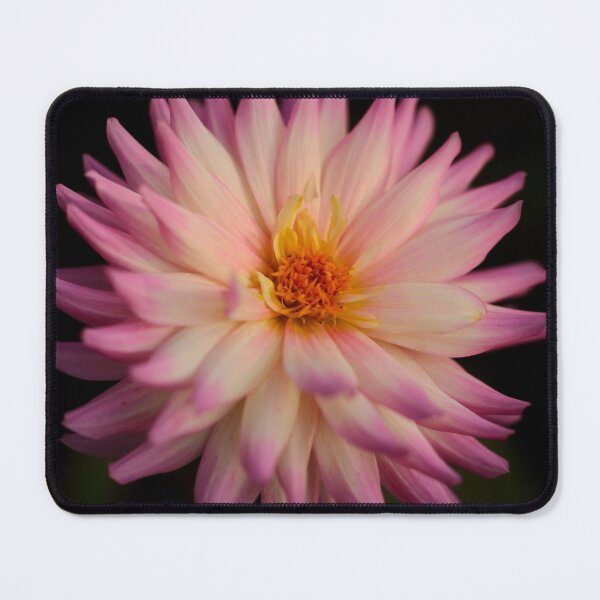 Item preview, Digital photography Close up of Dalia Flower designed and sold by SimonJohnson1.