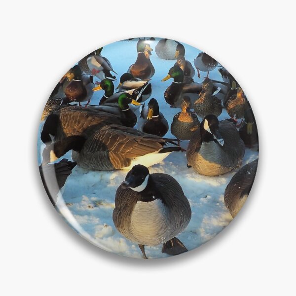 Item preview, Mallard Duck and Canada Goose Flock In The Snow - Wild Canada Goose Bird designed and sold by BackyardBirder.