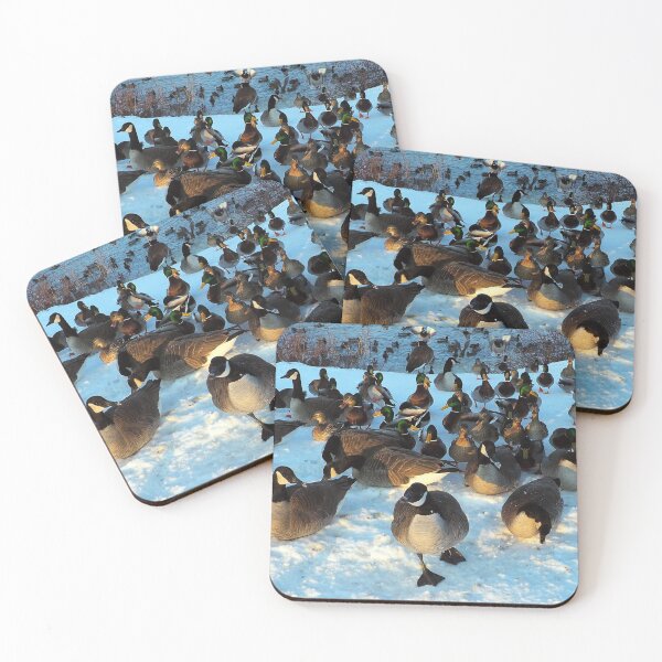 Item preview, Mallard Duck and Canada Goose Flock In The Snow - Wild Canada Goose Bird designed and sold by BackyardBirder.