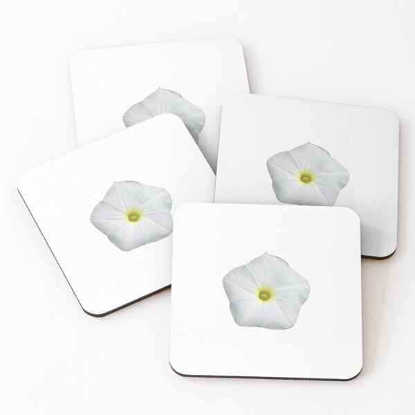 Item preview, White Morning glory flower designed and sold by BeachBumFamily.