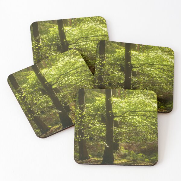 Item preview, Digital Photography Sunlit Woodland glade, Snowshill Woods Cotswolds Gloucestershire designed and sold by SimonJohnson1.