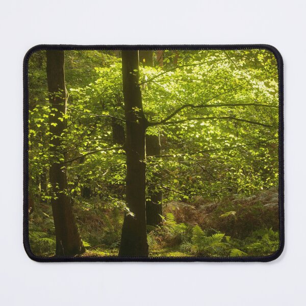 Item preview, Digital Photography Sunlit Woodland glade, Snowshill Woods Cotswolds Gloucestershire designed and sold by SimonJohnson1.