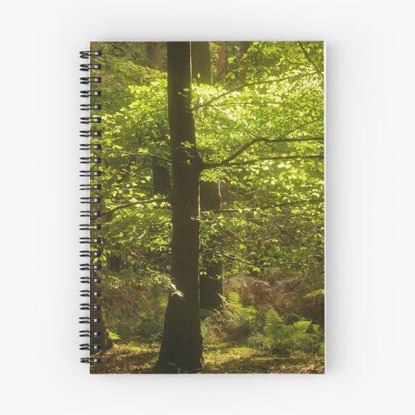 Item preview, Digital Photography Sunlit Woodland glade, Snowshill Woods Cotswolds Gloucestershire designed and sold by SimonJohnson1.