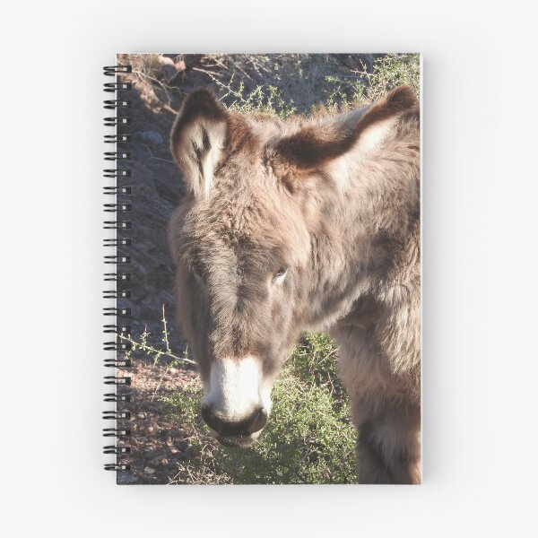 Artikelvorschau, Wilde Esel, Esel, Wildtiere, Geschenke, Cuddly Babe entworfen und verkauft von Sandra O'Toole.
