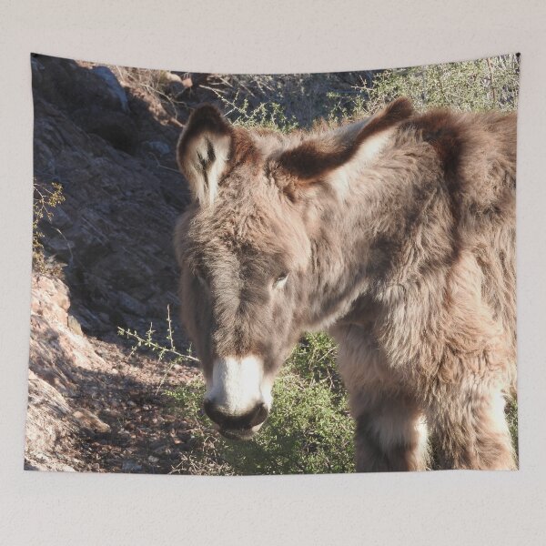 Item preview, Wild burros, donkeys, wildlife, gifts, Cuddly Babe designed and sold by Sandra O'Toole.