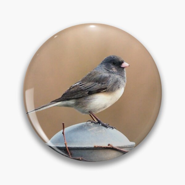 Item preview, Dark-eyed Junco Standing On A Post designed and sold by BackyardBirder.