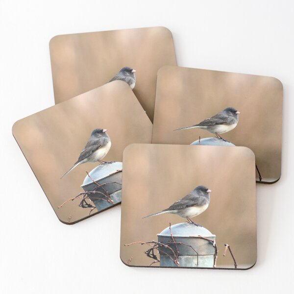 Item preview, Dark-eyed Junco Standing On A Post designed and sold by BackyardBirder.