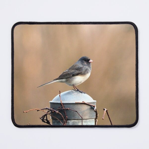 Item preview, Dark-eyed Junco Standing On A Post designed and sold by BackyardBirder.