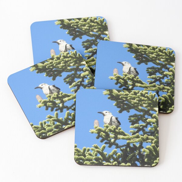 Item preview, Clark's nutcracker, birds, wildlife, nature, gifts, Forest Gem designed and sold by Sandra O'Toole.