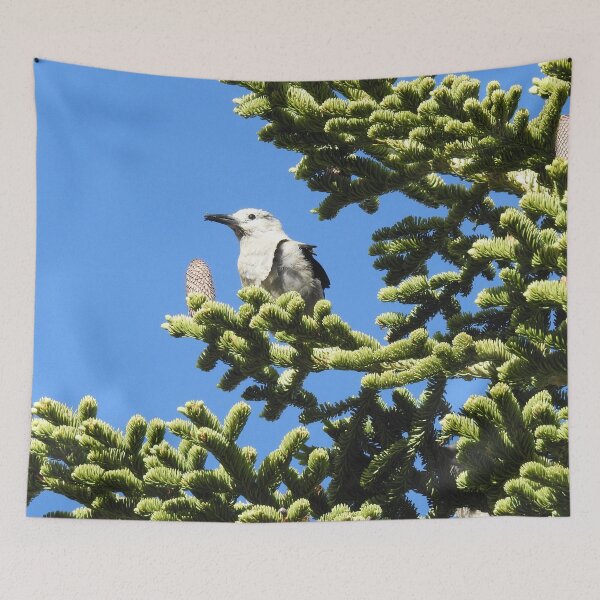 Item preview, Clark's nutcracker, birds, wildlife, nature, gifts, Forest Gem designed and sold by Sandra O'Toole.