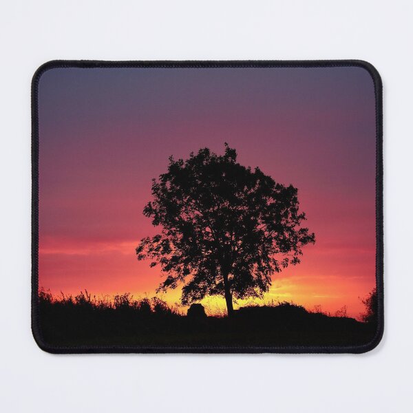 Aperçu de l'œuvre La photographie numérique silhouette d'arbre isolé au lever du soleil créée et vendue par SimonJohnson1.