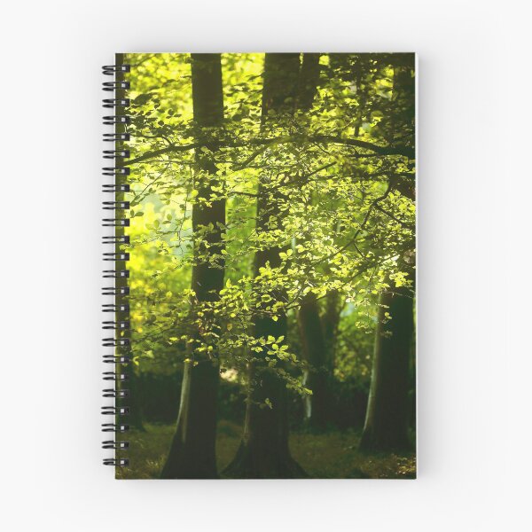 Item preview, Digital photography  Sunlit leaves and woodland designed and sold by SimonJohnson1.