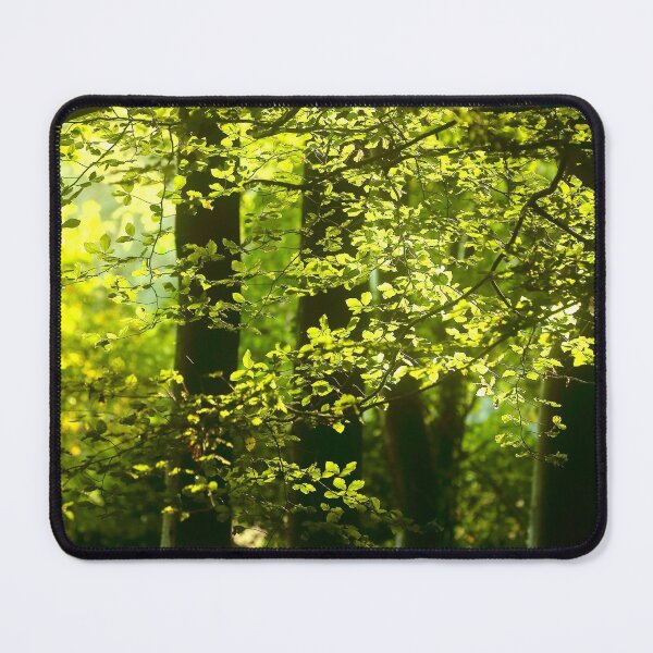Item preview, Digital photography  Sunlit leaves and woodland designed and sold by SimonJohnson1.