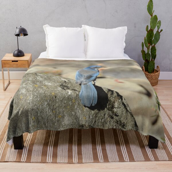 Item preview, California scrub jay, birds, wildlife, gifts, nature, Graceful Blue designed and sold by Sandra O'Toole.
