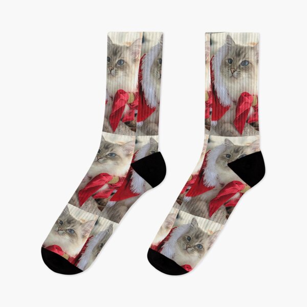 Item preview, Saoirse the ragdoll cat Christmas design designed and sold by Fluffycat2020.