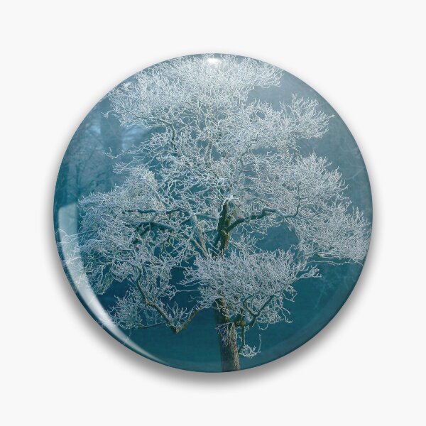 Item preview, Digital Photograph of sunlit frosted Tree  designed and sold by SimonJohnson1.