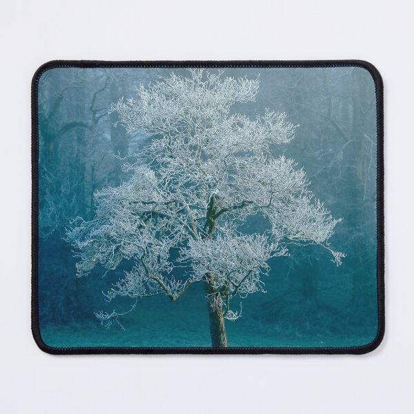 Item preview, Digital Photograph of sunlit frosted Tree designed and sold by SimonJohnson1.