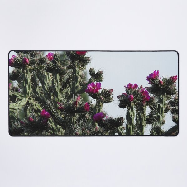 Item preview, Nature, gifts, cholla cactus flower, desert, Natural Elegance designed and sold by Sandra O'Toole.