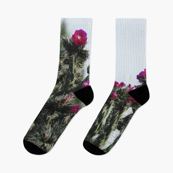 Item preview, Nature, gifts, cholla cactus flower, desert, Natural Elegance designed and sold by Sandra O'Toole.