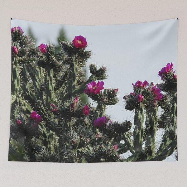 Item preview, Nature, gifts, cholla cactus flower, desert, Natural Elegance designed and sold by Sandra O'Toole.