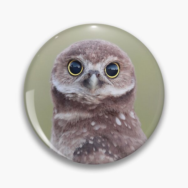 Item preview, Burrowing Owlet designed and sold by mlorenz.