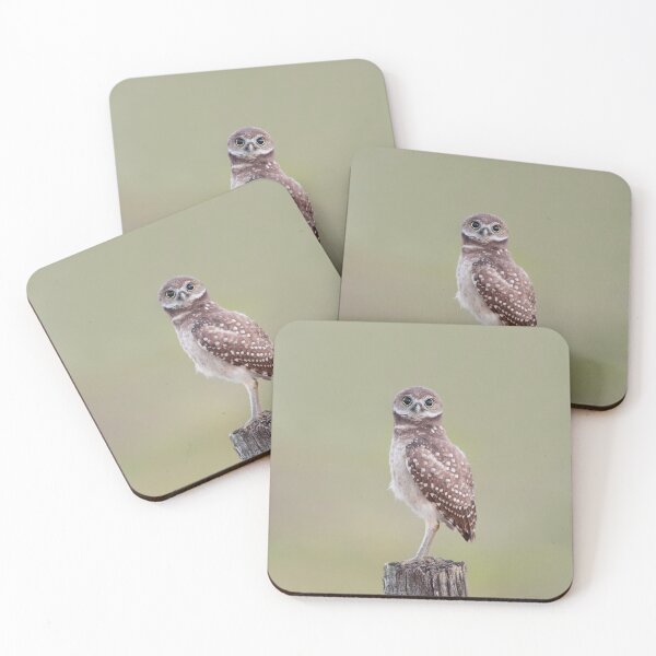 Item preview, Burrowing Owlet designed and sold by mlorenz.