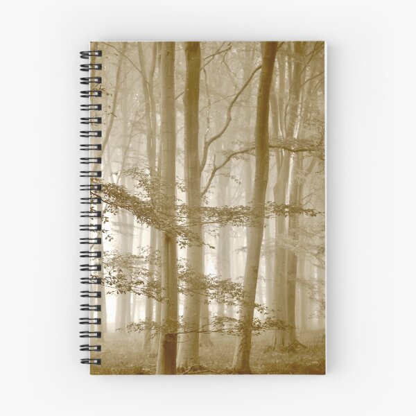 Aperçu de l'œuvre Photographie numérique de Misty Beech Woodland créée et vendue par SimonJohnson1.
