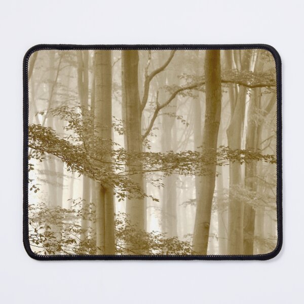 Item preview, Digital photograph of Misty Beech Woodland designed and sold by SimonJohnson1.