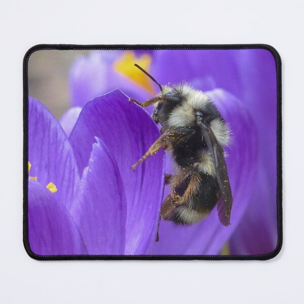 Item preview, Bumblebee on Purple Iris designed and sold by KauriMountain.
