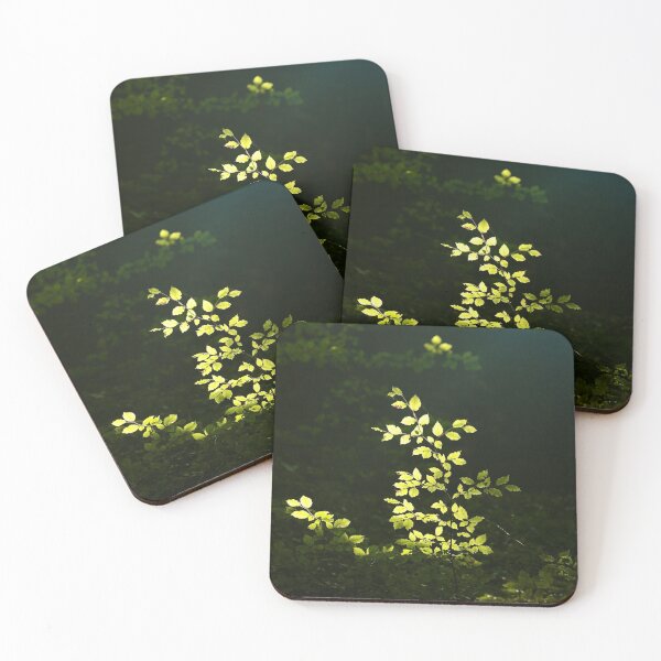 Item preview, Digital Photography Sunlit Beech Leaves  designed and sold by SimonJohnson1.
