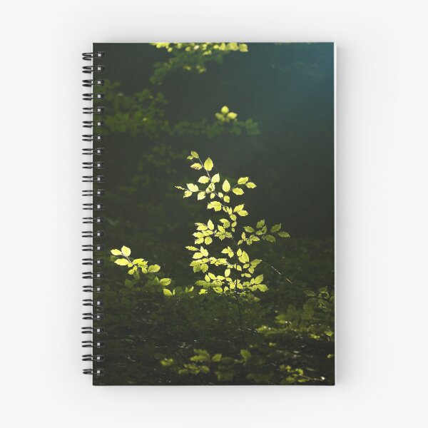Item preview, Digital Photography Sunlit Beech Leaves  designed and sold by SimonJohnson1.