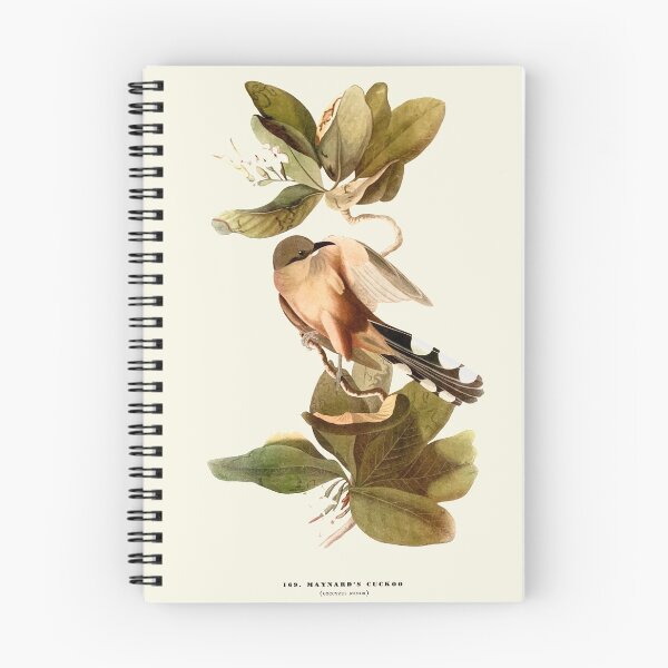 Item preview, Maynard's Cuckoo - Audubon designed and sold by sanerevolution.