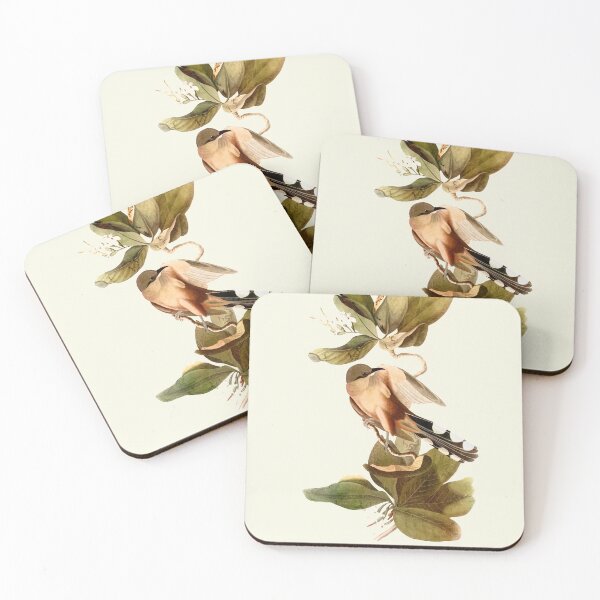 Item preview, Maynard's Cuckoo - Audubon designed and sold by sanerevolution.
