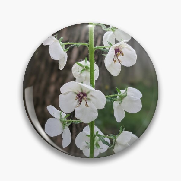 Item preview, Tower of White Flowers Photographic Image designed and sold by AustaArt.