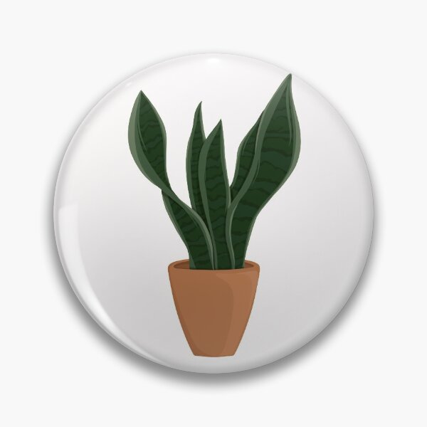 Item preview, Sansevieria / Dracaena Trifasciat / Snake Plant / Houseplant designed and sold by WithAhava.
