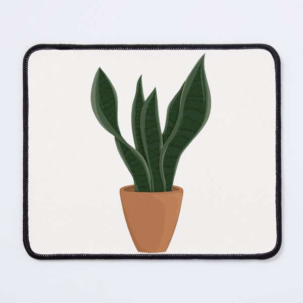 Item preview, Sansevieria / Dracaena Trifasciat / Snake Plant / Houseplant designed and sold by WithAhava.