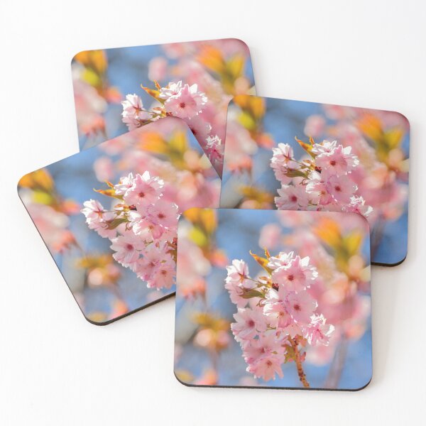 Item preview, Digital Photograph of sunlit Cherry Blossom designed and sold by SimonJohnson1.