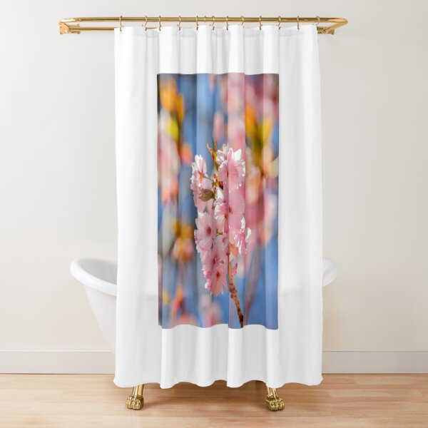 Item preview, Digital Photograph of sunlit Cherry Blossom designed and sold by SimonJohnson1.