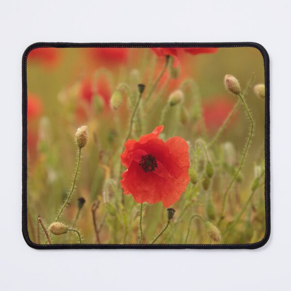Item preview, Digital Photograph of Cotswold Poppies designed and sold by SimonJohnson1.