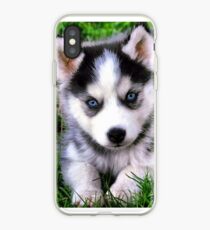 Vinilo o funda para iPhone Beautiful puppy husky!
