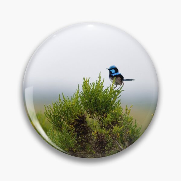 Item preview, Male Fairy Wren designed and sold by susanzentay.