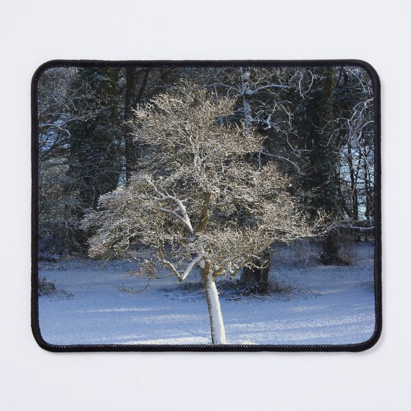 Item preview, Digital photograph of sunlit frosted tree designed and sold by SimonJohnson1.