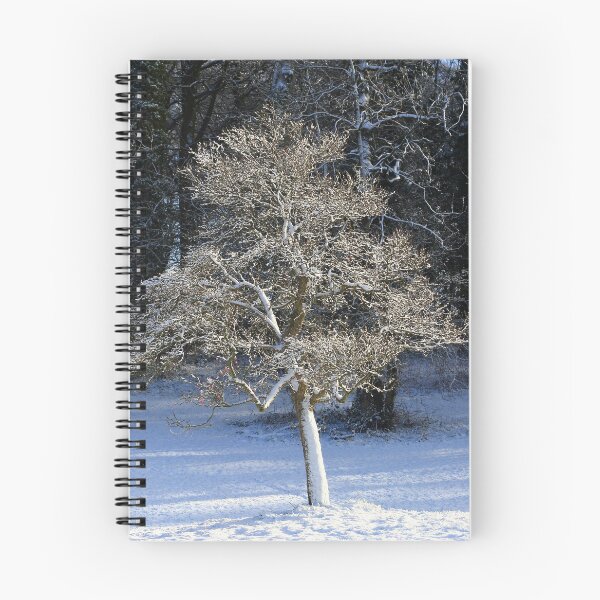 Item preview, Digital photograph of  sunlit frosted tree designed and sold by SimonJohnson1.