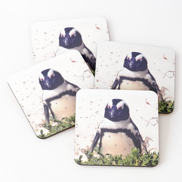 Item preview, Jackass Penguin in the Shrubs designed and sold by LisWilliams.