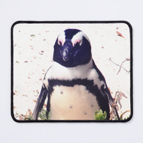 Item preview, Jackass Penguin in the Shrubs designed and sold by LisWilliams.