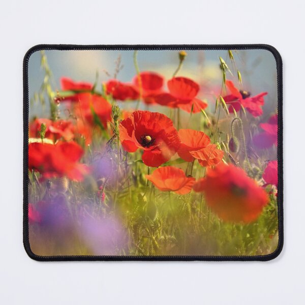 Aperçu de l'œuvre Photographie numérique de coquelicots d'été créée et vendue par SimonJohnson1.