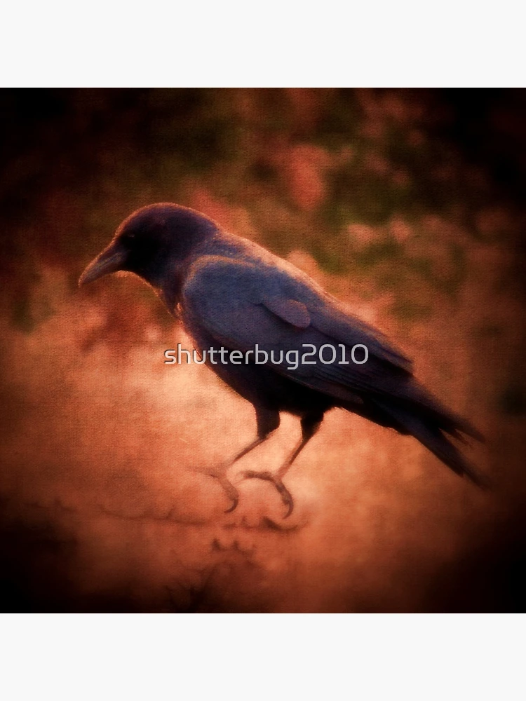 Thumbnail 4 of 4, Clock, Crow designed and sold by shutterbug2010.
