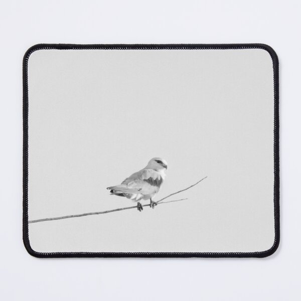 Item preview, Black Shouldered Kite BnW designed and sold by susanzentay.