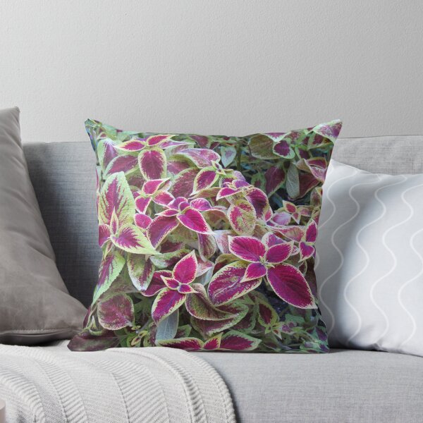 Item preview, Variegated designed and sold by SquirrelWatcher.