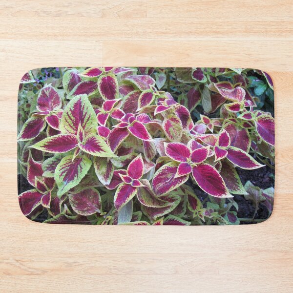 Item preview, Variegated designed and sold by SquirrelWatcher.